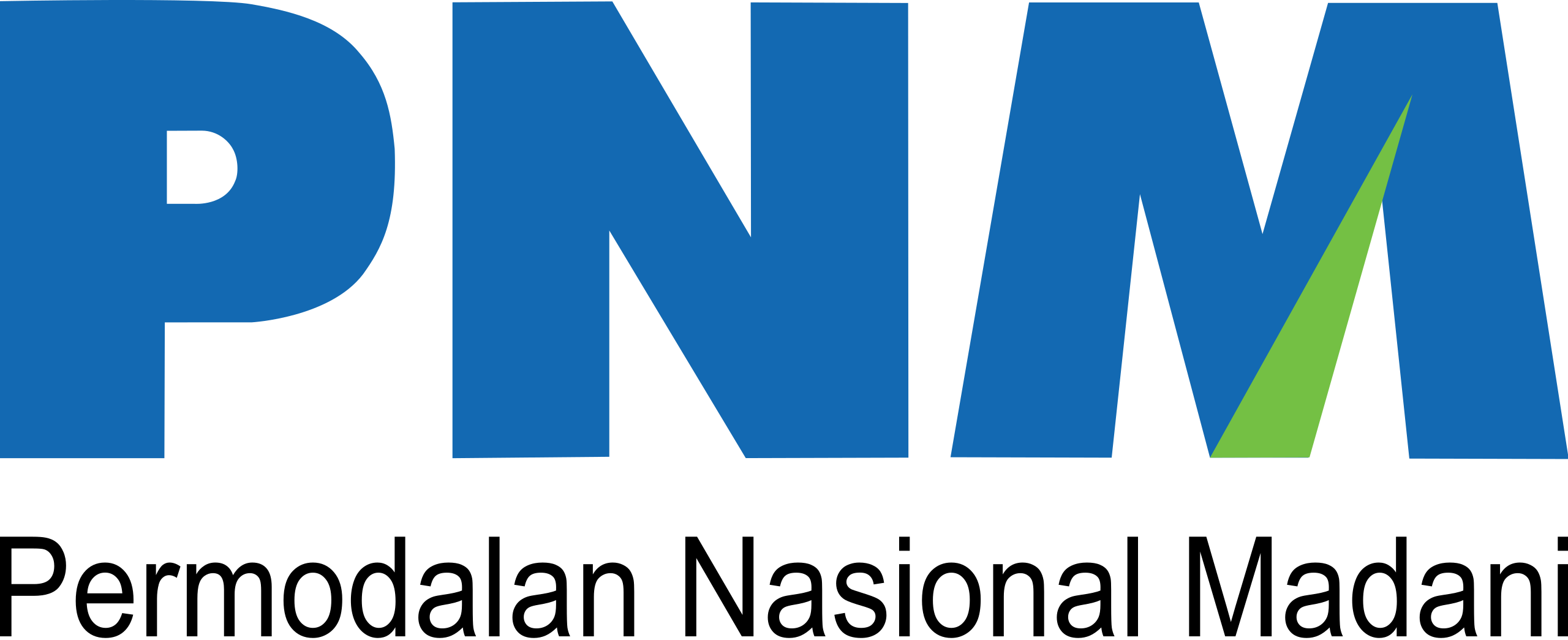 PNM_logo.svg.png